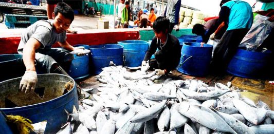 Data Ekspor Ikan di Kalbar Belum Sepenuhnya Tercatat