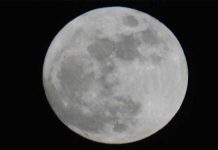 Siap-siap Menyambut Supermoon dan Hujan Meteor Leonids