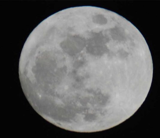 Siap-siap Menyambut Supermoon dan Hujan Meteor Leonids