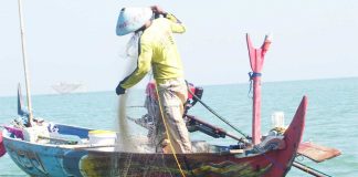 Asuransi Nelayan Terkendala Operator