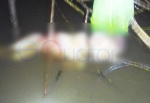 Orok Mengapung di Sungai Kapuas