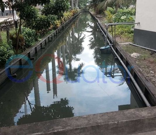 Limbah Rumah Sakit Kemana?