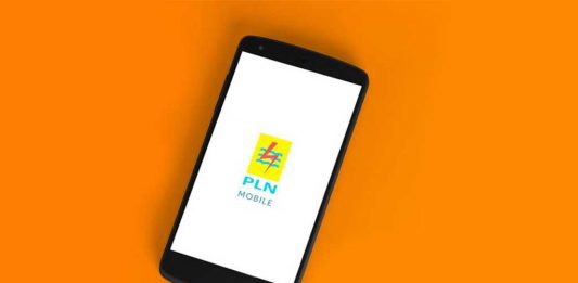 Pelanggan PLN Diminta Tak Lakukan Pelanggaran