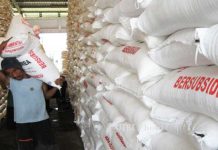Dorong Pemda Desak Pusat Tambah Kebutuhan Pupuk Subsidi