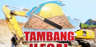 Polisi Kembali Razia PETI