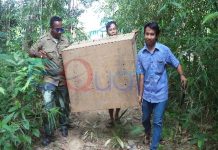 BKSDA Singkawang Lepas Empat Biawak