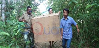 BKSDA Singkawang Lepas Empat Biawak