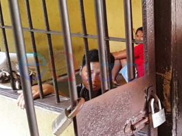 Pernikahan Sejenis Diketahui Usai Resepsi