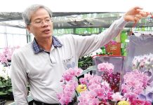 Pelancong Muslim Jadi VVIP