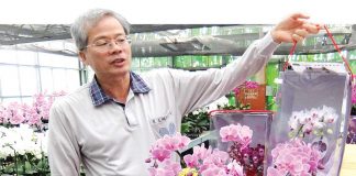 Pelancong Muslim Jadi VVIP