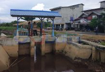 Simpang Hilir Terancam Gagal Panen