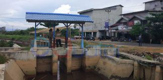 Simpang Hilir Terancam Gagal Panen