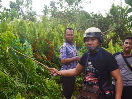 Tindak Tegas Oknum Dewan Bekingi Kasus Pemerkosaan