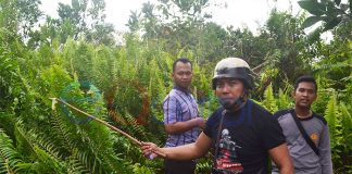 Tindak Tegas Oknum Dewan Bekingi Kasus Pemerkosaan