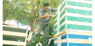 Temukan Ribuan Burung dalam Kapal, 1.700 Ekor Kacer dan Jalak Liar Disita