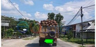 Truk Tanpa Pengaman Resahkan Pengendara