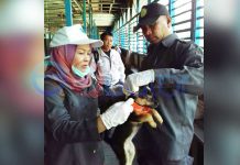 Ibu Menyusui Digigit Anjing Gila