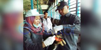 Ibu Menyusui Digigit Anjing Gila