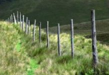 Tutup Jalan Tikus di Tapal Batas!