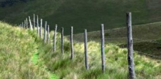 Tutup Jalan Tikus di Tapal Batas!