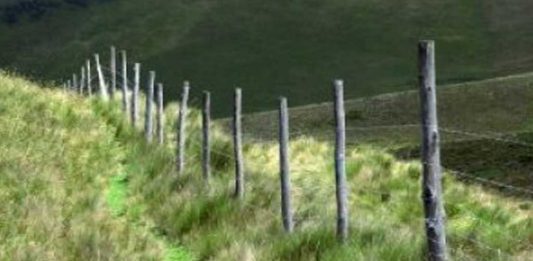 Tutup Jalan Tikus di Tapal Batas!