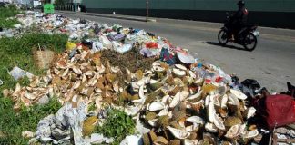 Dicari, Pengusaha yang Bisa Olah Kulit Durian