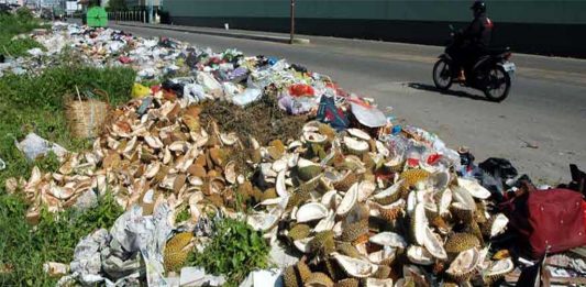 Dicari, Pengusaha yang Bisa Olah Kulit Durian