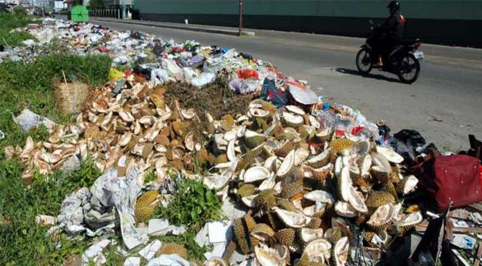 Dicari, Pengusaha yang Bisa Olah Kulit Durian