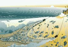 Nelayan Butuh Solusi Jelang Penerapan Peraturan Menteri Susi