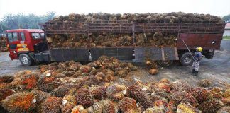 CSR Harus Transparan