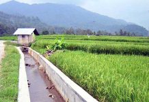 Minta Pemerintah Konsisten Tingkatkan Infrastruktur Pertanian