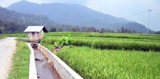 Minta Pemerintah Konsisten Tingkatkan Infrastruktur Pertanian