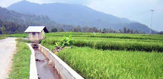 Minta Pemerintah Konsisten Tingkatkan Infrastruktur Pertanian