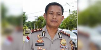 Jangankan PETI, Sabung Ayam pun Perlu Pendekatan