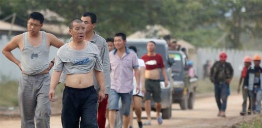 TKA Ilegal Tiongkok Sehari Diupah Rp400 Ribu