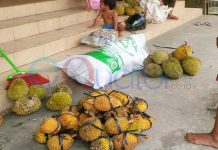 Habis Durian, Terbitlah Empakan