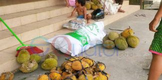 Habis Durian, Terbitlah Empakan