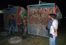 Melintas, Dihadang Intel Kodim Sanggau