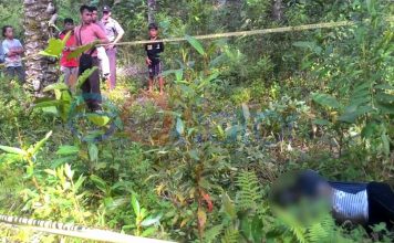 Ada Mayat di Kebun PTPN XIII Ngabang