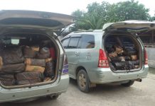 95 Dus Sosis Asal Negeri Upin-Ipin Disita