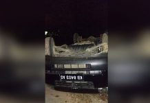 Laka Tunggal, Truk Ayam Terguling-guling