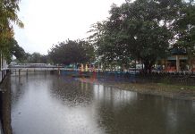 Buaya-buaya Timbul di Sungai Singkawang