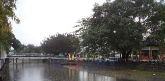 Buaya-buaya Timbul di Sungai Singkawang