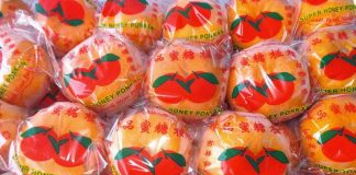 Jeruk Ponkam Laris Manis Jelang Imlek