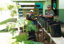 Cornelis: Ndak Makan Cabe, Kan Tidak Mati