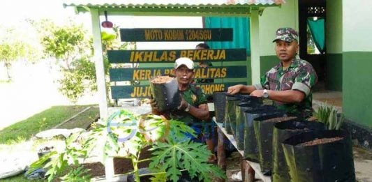Harga Meroket, Anggota Kodim Diperintahkan Tanam Cabai