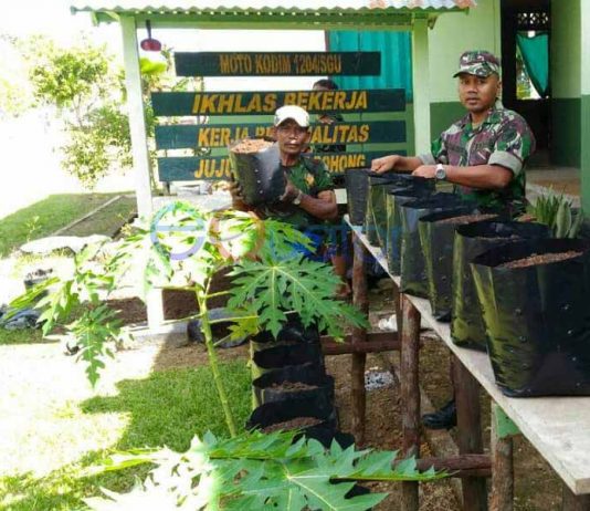 Cornelis: Ndak Makan Cabe, Kan Tidak Mati