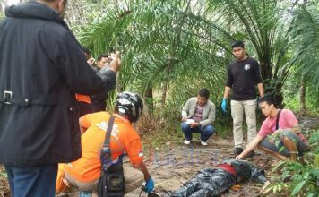 BREAKING NEWS: Warga Temukan Mayat di Kebun Karet