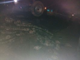 BREAKING NEWS: Pikap Terguling, Supir, Kernet, dan Ayam Jadi Korban