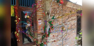 Pantau Pohon Natal, Panitia Keliling Rumah Warga dan Gereja